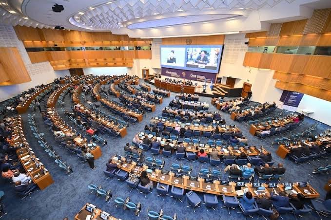 Fas BM Afrika Ekonomi Komisyonu’na başkanlık edecek