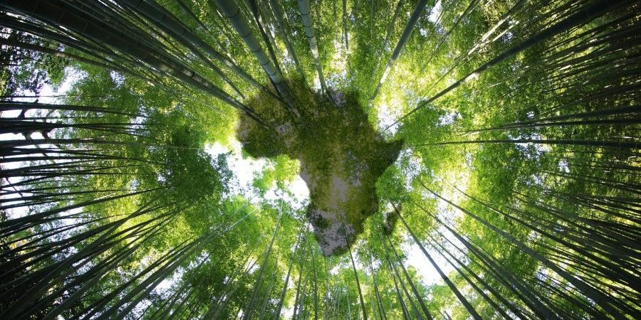 Ruanda iklim direncini artırma projesi başlatıyor