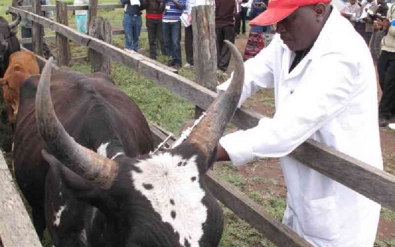 kenya