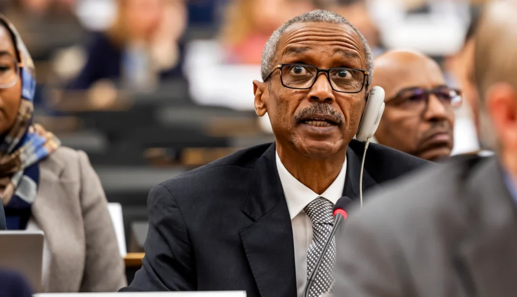 BM İnsan Hakları Konseyi’nden Sudan özel oturumu