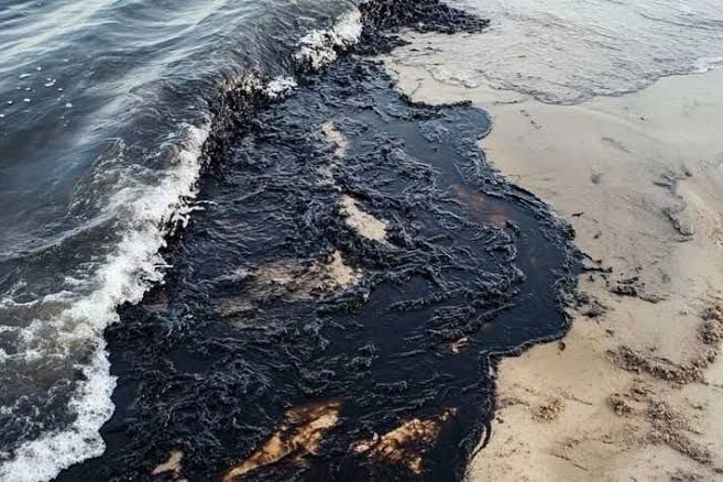 Senegal açıklarında petrol sızıntısı tehlikesi